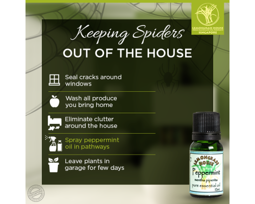 Peppermint Essential Oil