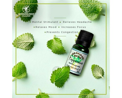 Peppermint Essential Oil
