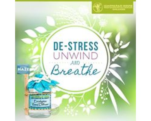 Eucalyptus Reed Diffuser